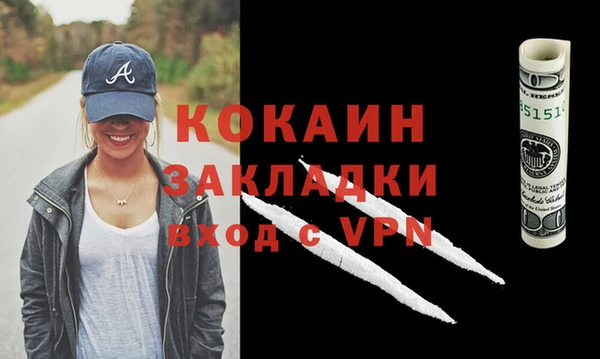 прущие грибы Жердевка