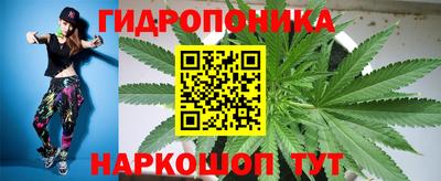 шишки Ирбит
