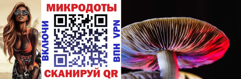 Галлюциногенные грибы мицелий  Корсаков 